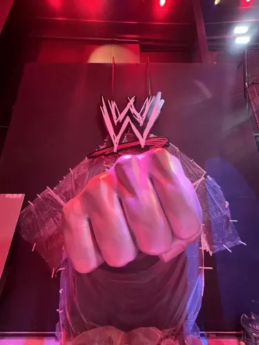 WWE - 08